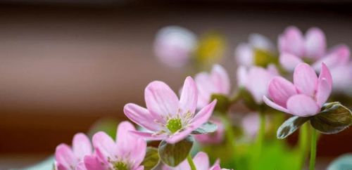 白羊女×天秤男：火与冰的碰撞