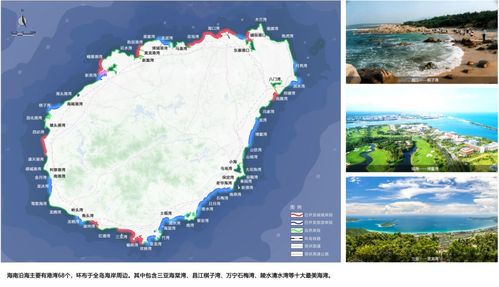 前 海 石 ：从滩涂到见证者