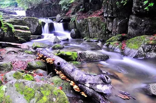 峡谷里的那些事儿， 腿都要断了