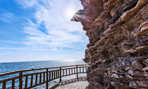 B. 金石滩“龟背石”——自然与人文交织的怪异象征