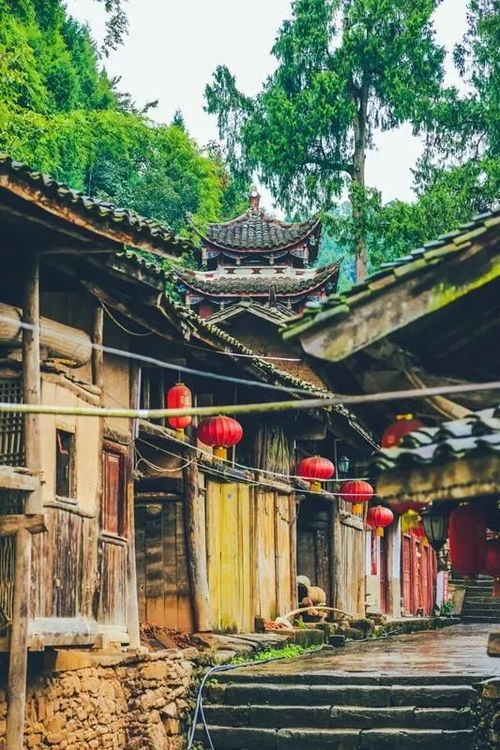 1.1 现场购票还是线上预订？