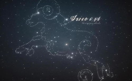 5.17星座运势，迎新月好运爆棚，你的运势将如何爆发？