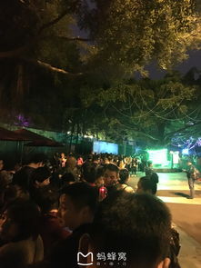 (乱入) 随手写的一段感受：