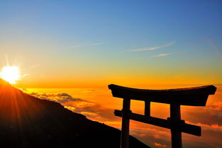 ② 登山路线：随便选哪条都能迷路
