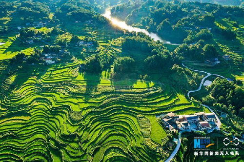 ECO旅游小技巧（或者叫做乱七八糟生存指南）