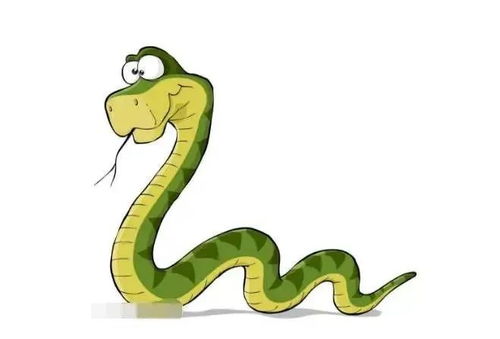 第三招：找帮手(佩戴饰品)