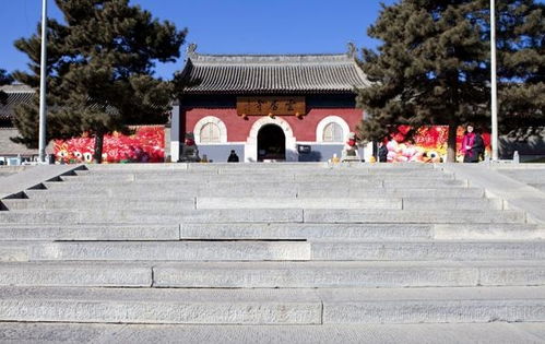 自驾：别被较高德骗了