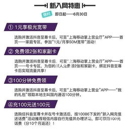 海南，这个被誉为“东方夏威夷”的地方，究竟有何魅力？