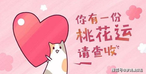 啊啊啊！生肖猪2026年必看