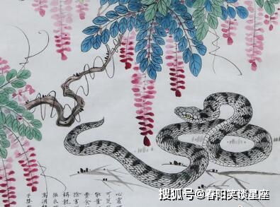 二、 壬午属马：奔跑的孤独与倔强较大