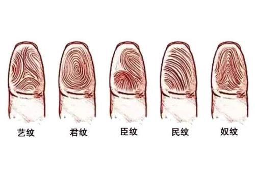 前言：指尖的低语， 命运的回响