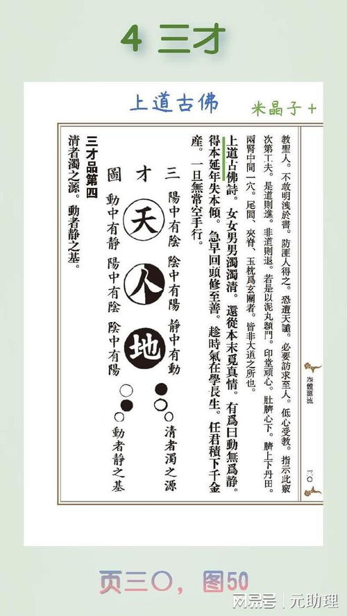如何将中医天地人三才理论应用于风水布局，优化居住环境？