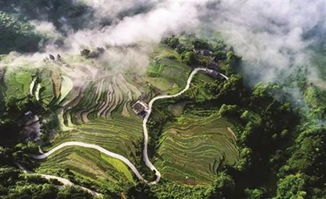 为什么我说“特种兵式旅游”是自虐