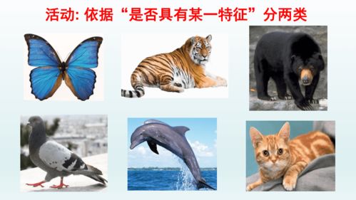 哪个生肖动物代表涉猎？三尺神明头上打生肖动物是什么生肖？