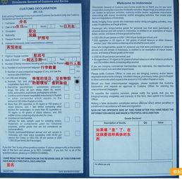 四、 常见坑点与防坑技巧（随意写写）