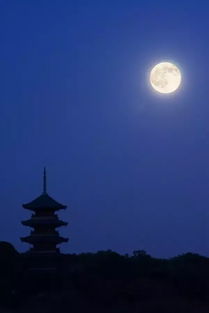 中秋团圆夜，月圆人geng圆，古风今韵传千年