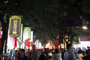 五一假期去淄博品尝美食，西安古都寻迹，有什么好推荐的路线吗？