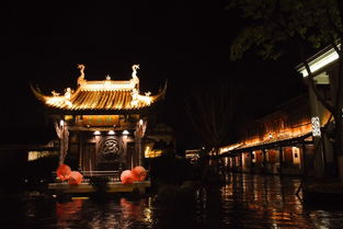 傍晚：返回成都， 夜市再添味觉冲击