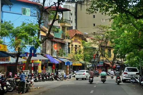 住帐篷？冻死你！