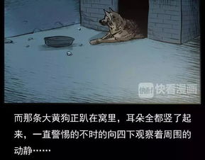 超自然噪音段落（故意乱码）