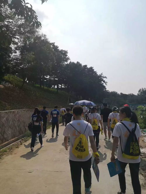 吃饭睡觉：花钱买罪受