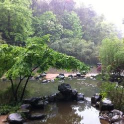 路上风景：除了绝望还有什么