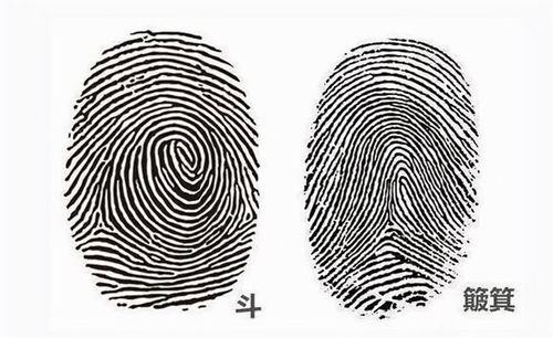 1.1 斗纹的几何形态（随便写写）