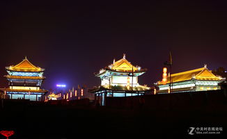 1）沈园·花开时节（其实是花季结束）
