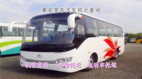 大巴司机的时间哲学：“车是活的，  时刻表是死的”