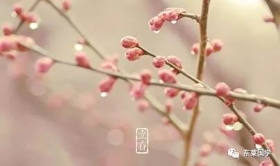 一月属什么生肖？立春打一生肖是什么生肖的意思？
