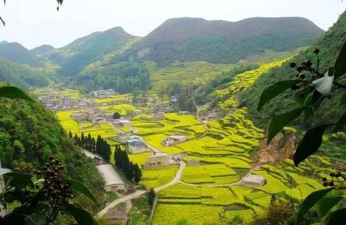 路上的风景美得让人窒息