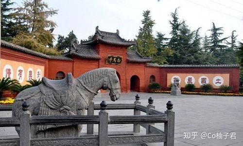 5、 西泰山（杜鹃花季）——春天里的粉红炸弹