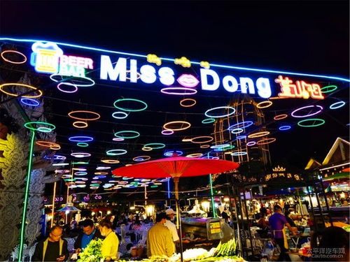 夜色降临， 繁华开启——双夜市的“开场白”