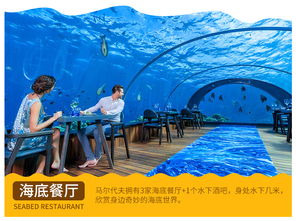 蜜月旅行的准备：一场专属的旅程规划