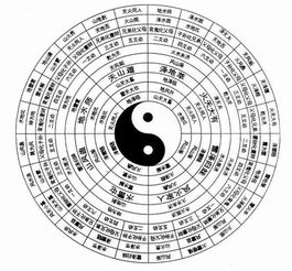 如何根据周易五行属相配对查询婚姻合适度？