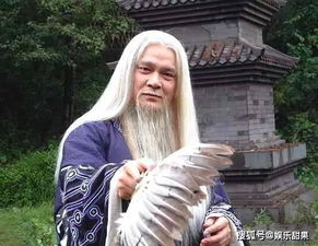 解锁星宿老怪丁春秋的命运密码