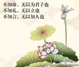 八字不透之人命运如何？三毛八字命运能否改写？