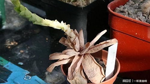 为什么我的财运不佳，存不住钱的风水问题该如何调整？