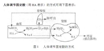 五行平衡与体沉重的“迷思”