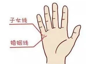 手心凹得像个小饭碗