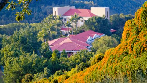 2026年梅州旅游生存法则