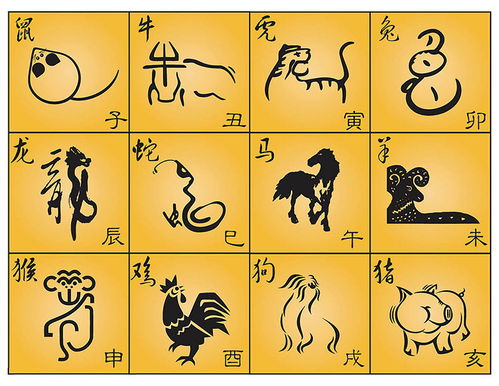 四海为家对应哪个生肖？这生肖有什么忒别之处？