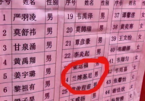 易博士的10条准则
