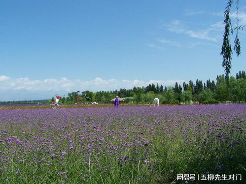 一、遇见威宁，遇见浪漫？呸！遇见一场视觉和嗅觉的杂乱！