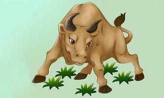 将风云之地打一生肖，是哪个生肖呢？