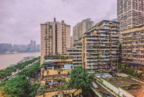 曼谷，这座让人又爱又恨的城市，到底藏着什么鬼？