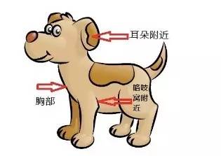 属马的你：那是“奔跑”的累