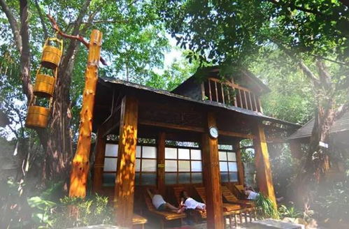 哎呀妈呀，周末到底该带神兽去哪儿放电啊？愁死个人了！