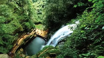 迷失与惊喜并存