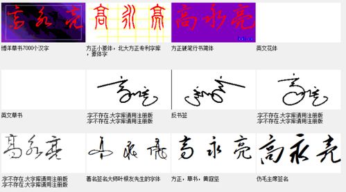 宋加杨：创意组合的有可能性无限